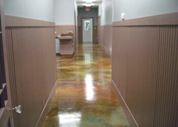 Polished concrete floor in a hallway at ECD Concrete in a commercial building. Polished concrete floor in a hallway with beige wainscoting and light green walls.